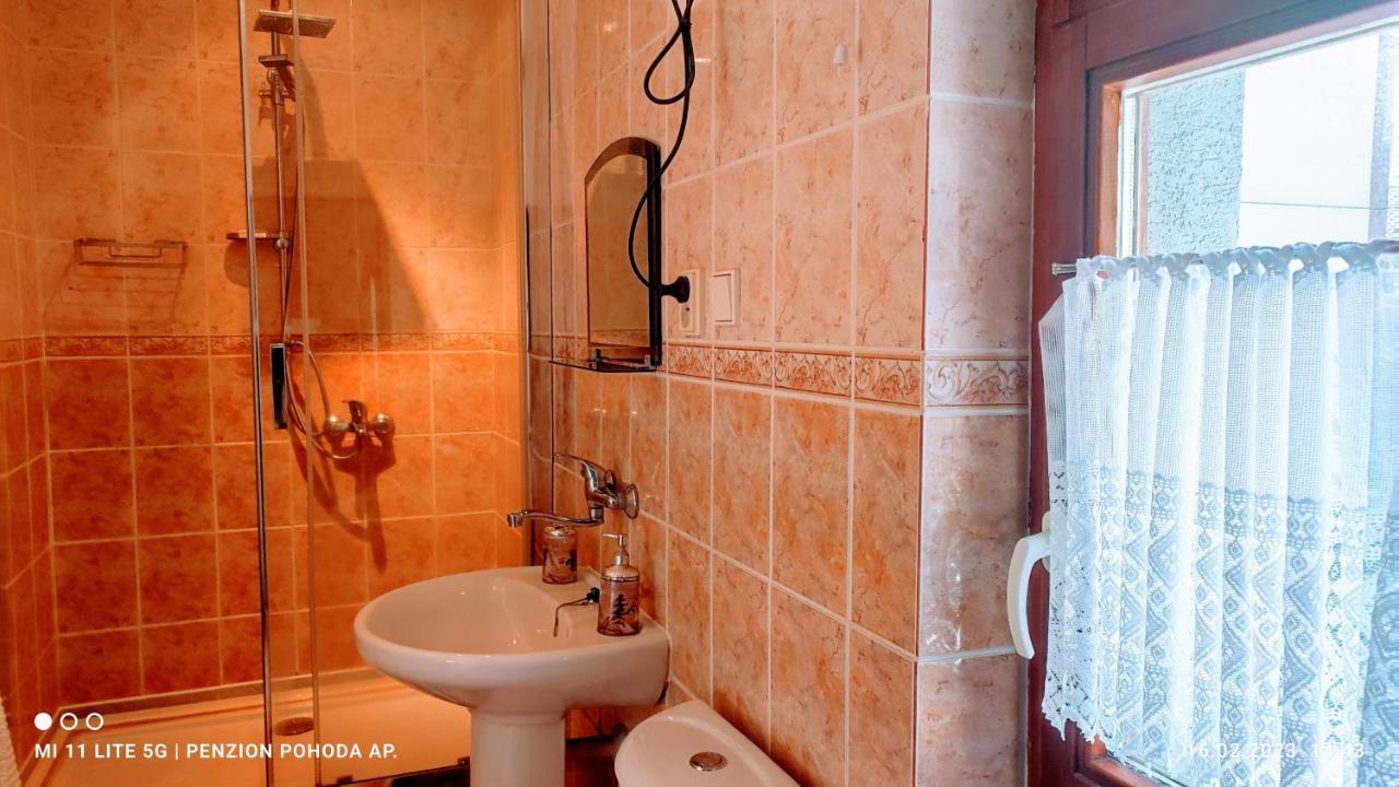 Penzion Pohoda - Apartmany Jeseník Eksteriør billede